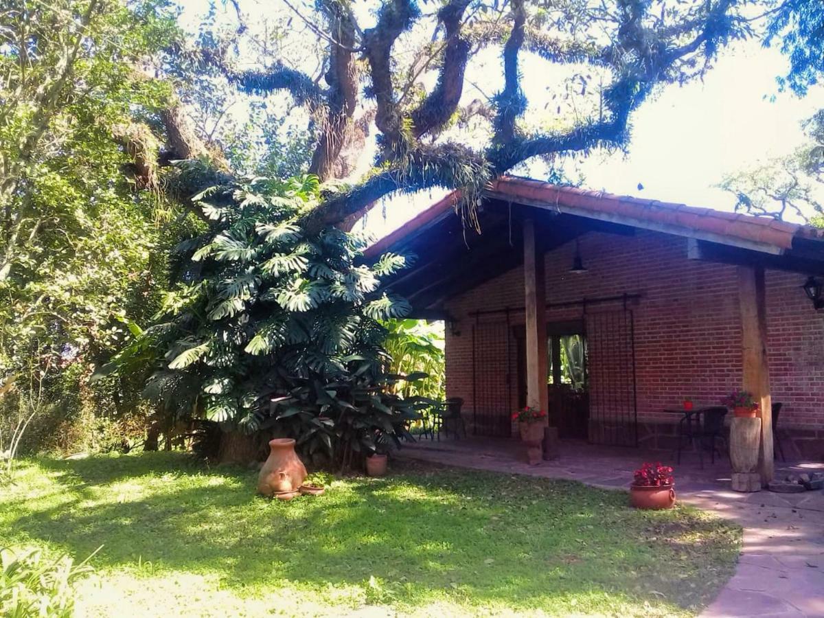 Terrazas Del Coya Vandrehjem San Salvador de Jujuy Eksteriør billede